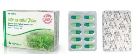 Diệp Hạ Châu Plus (Hộp 10 vỉ x 10 viên)