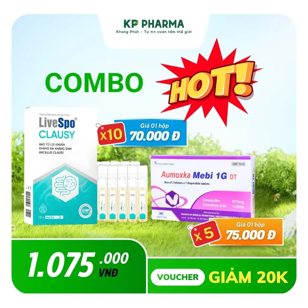 COMBO MÙA NÓNG - 10 HỘP CLAUSY + 05 HỘP AUMOXKA MEBI 1G DT