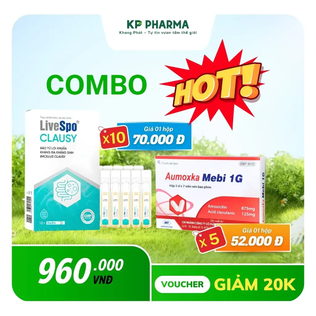 COMBO MÙA NÓNG - 10 HỘP CLAUSY + 05 HỘP AUMOXKA MEBI 1G