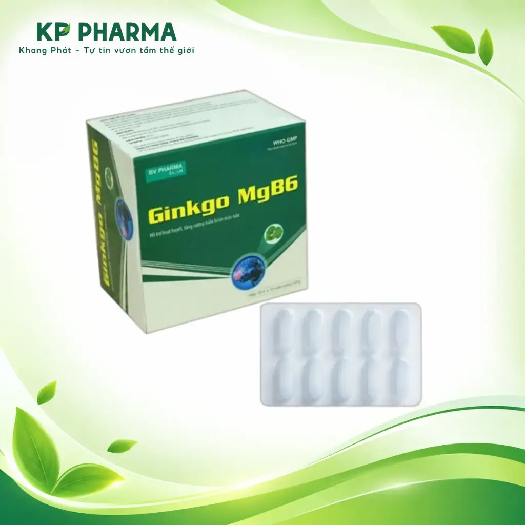 GINKGO MGB6 (HỘP 10 VỈ X 10 VIÊN) - BV.PHARMA