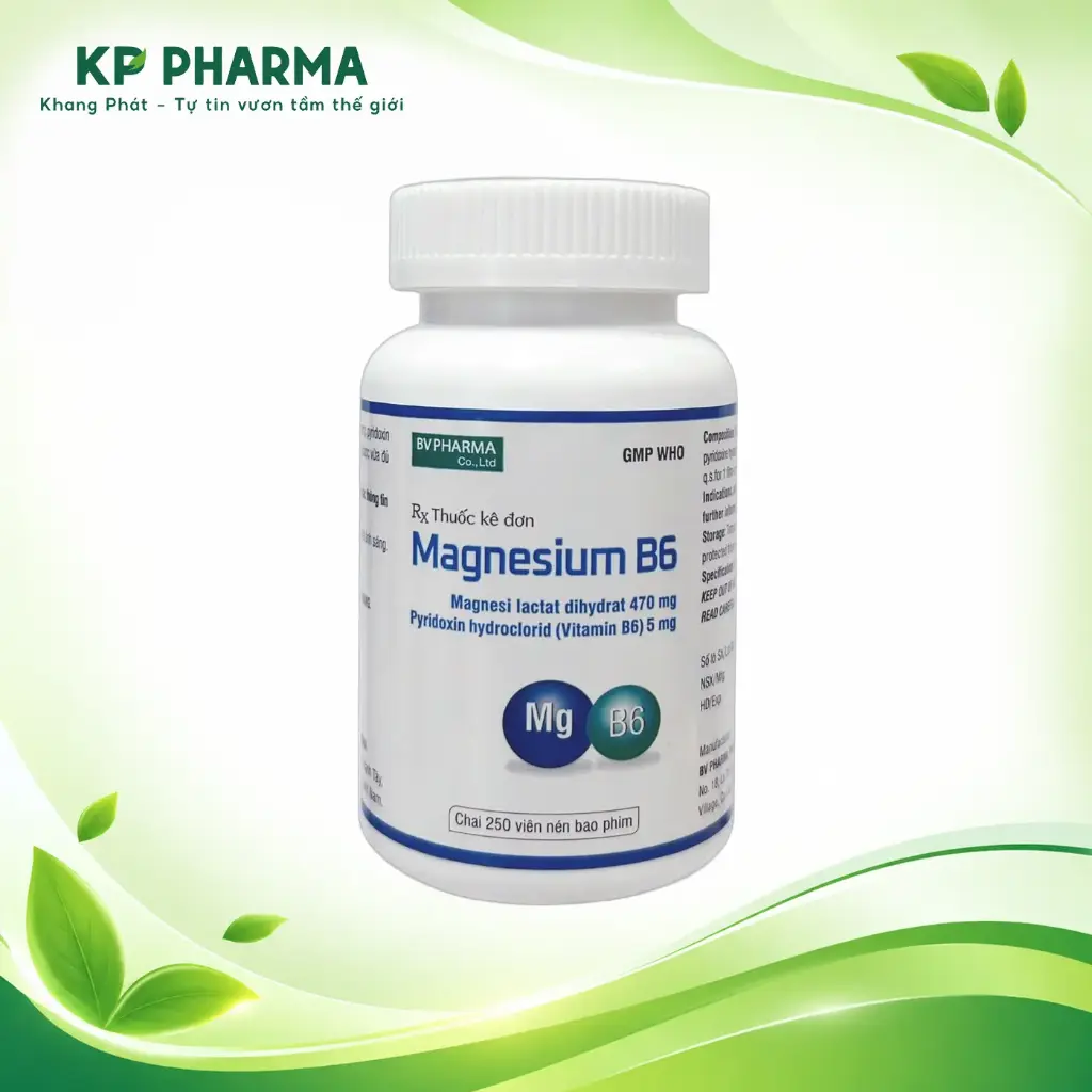 MAGNESIUM B6 (CHAI 250 VIÊN) - BV.PHARMA