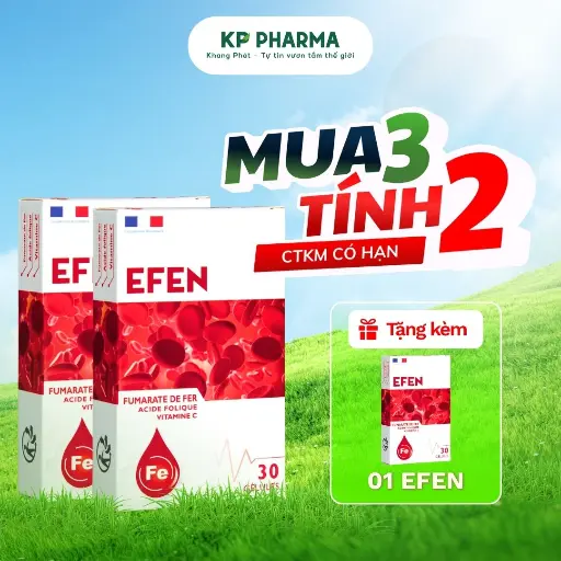[SP04508] VIÊN UỐNG BỔ SUNG SẮT - EFEN - (HỘP 30 VIÊN) - PHÁP