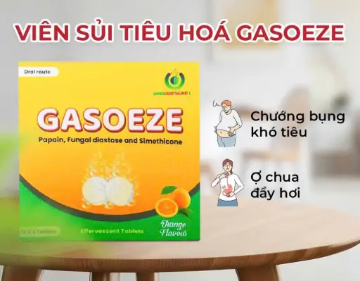 [SP04533] INDIA - VIÊN SỦI GASOEZE (HỘP 48 VIÊN)