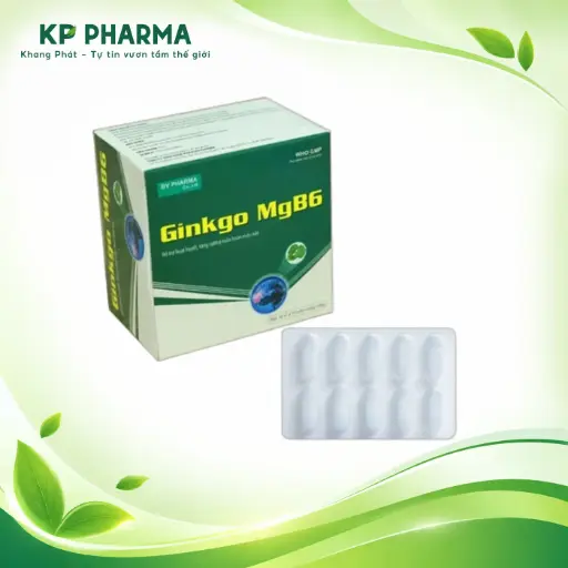 [TC0017] GINKGO MGB6 (HỘP 10 VỈ X 10 VIÊN) - BV.PHARMA